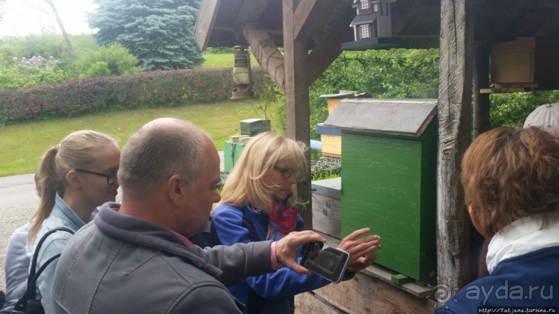 Про пасеку и средство от эмоционального выгорания