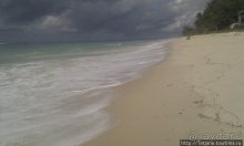 Утренняя прогулка - зона побережья "Diani Beach"