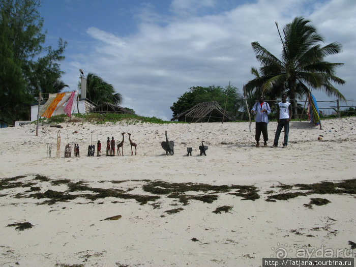 Утренняя прогулка - зона побережья "Diani Beach"