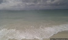Утренняя прогулка - зона побережья "Diani Beach"