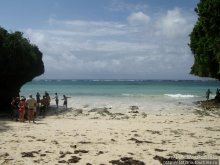 Утренняя прогулка - зона побережья "Diani Beach"