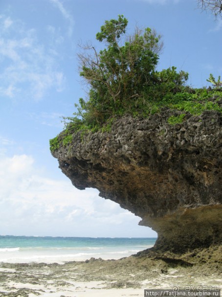 Утренняя прогулка - зона побережья "Diani Beach"