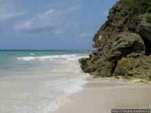 Утренняя прогулка - зона побережья "Diani Beach"