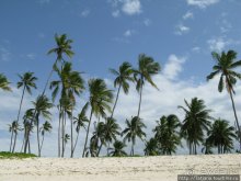 Утренняя прогулка - зона побережья "Diani Beach"