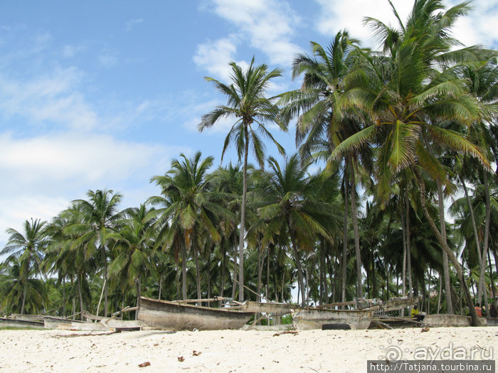 Утренняя прогулка - зона побережья "Diani Beach"