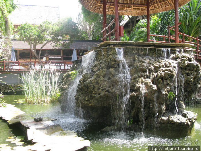 Утренняя прогулка - зона побережья "Diani Beach"