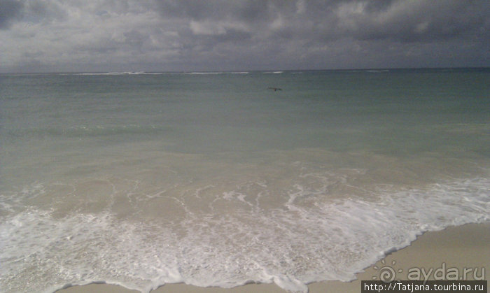 Утренняя прогулка - зона побережья "Diani Beach"