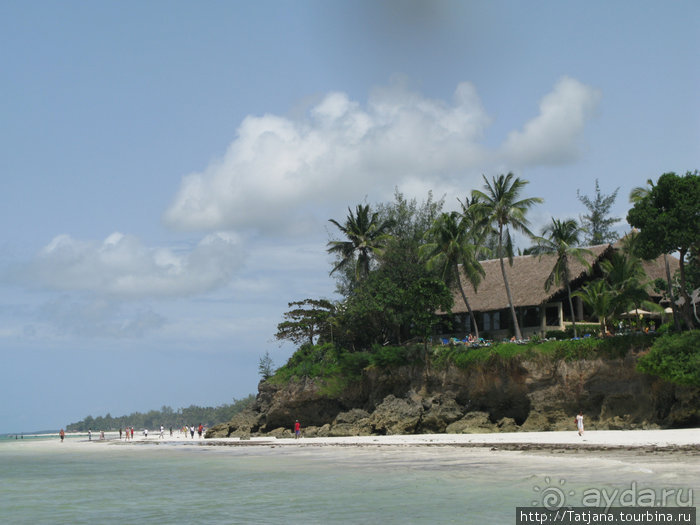 Утренняя прогулка - зона побережья "Diani Beach"