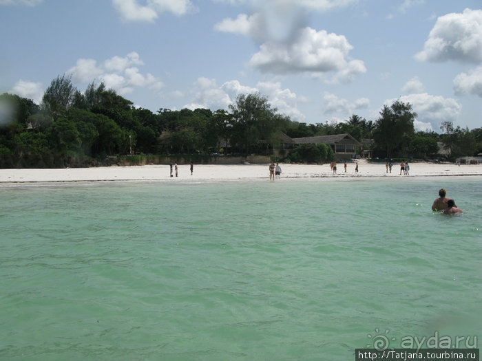 Утренняя прогулка - зона побережья "Diani Beach"