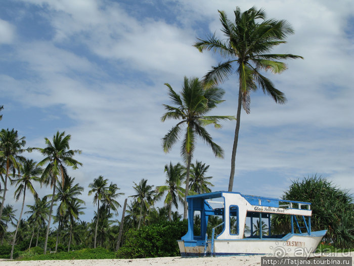 Утренняя прогулка - зона побережья "Diani Beach"