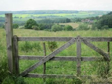 Альбом отзыва "Холмы Лимбурга и самый "высокогорный" лес Голландии"