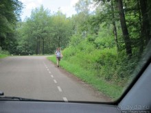 Альбом отзыва "Холмы Лимбурга и самый "высокогорный" лес Голландии"