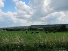 Альбом отзыва "Холмы Лимбурга и самый "высокогорный" лес Голландии"