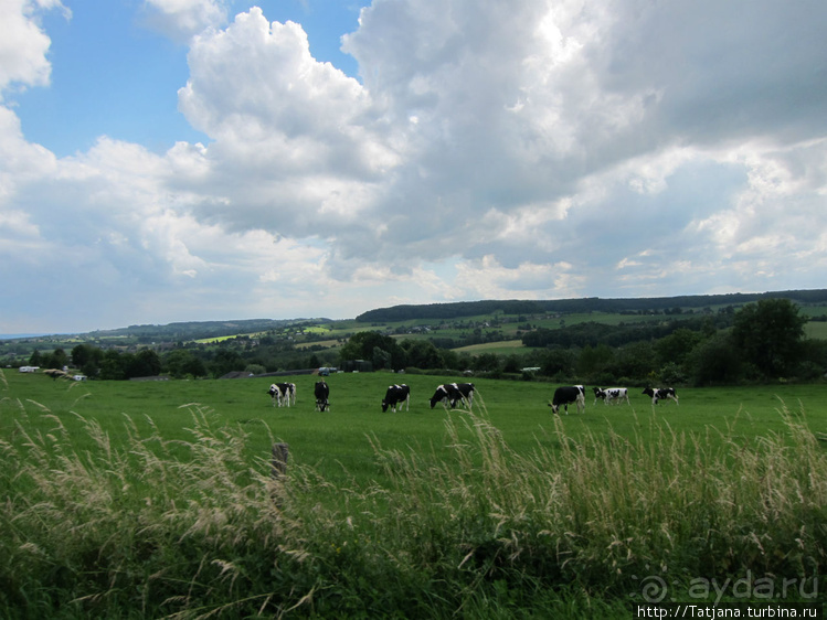 Холмы Лимбурга и самый "высокогорный" лес Голландии
