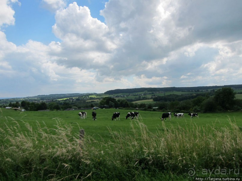Холмы Лимбурга и самый "высокогорный" лес Голландии