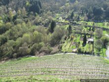 Чудный Кохем и тайны старого замка...