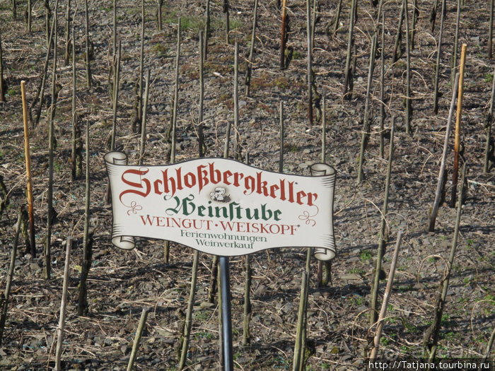 Чудный Кохем и тайны старого замка...