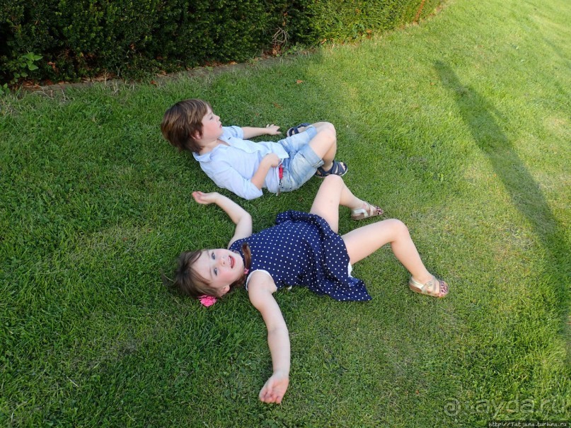 Альбом отзыва "Полет на воздушном шаре"