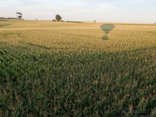 Альбом отзыва "Полет на воздушном шаре"