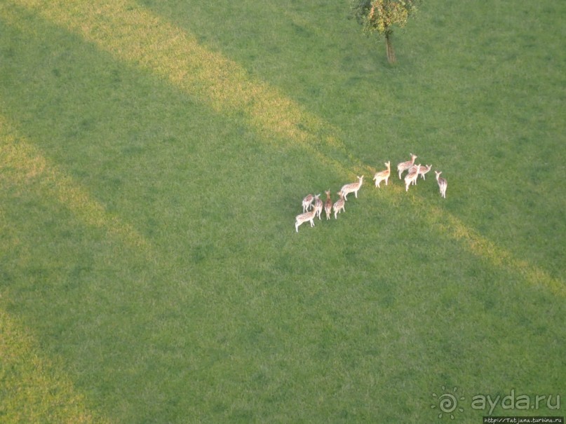 Полет на воздушном шаре
