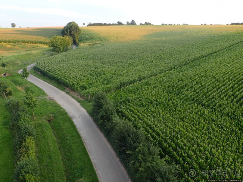 Полет на воздушном шаре