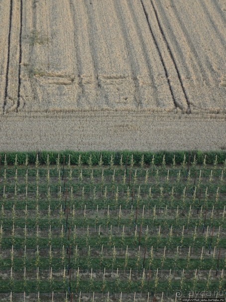 Полет на воздушном шаре