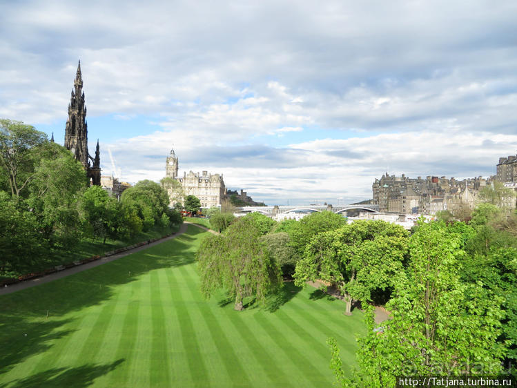 Вкусно поесть на конце света