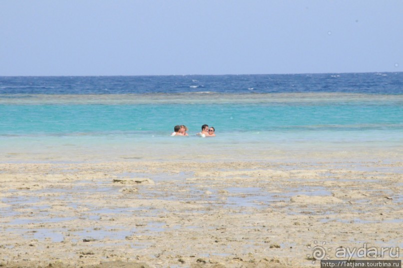 Подводный мир Марса-Алам