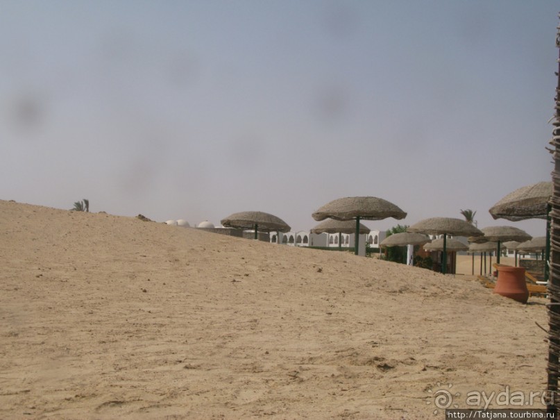 Подводный мир Марса-Алам