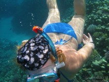 Альбом отзыва "Подводный мир Марса-Алам"