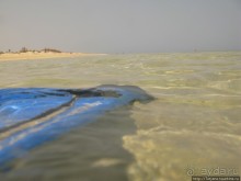 Альбом отзыва "Подводный мир Марса-Алам"