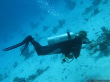 Альбом отзыва "Подводный мир Марса-Алам"