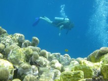 Альбом отзыва "Подводный мир Марса-Алам"