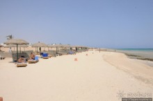 Подводный мир Марса-Алам