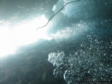 Альбом отзыва "Подводный мир Марса-Алам"