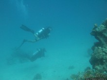 Подводный мир Марса-Алам