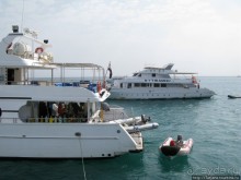 Подводный мир Марса-Алам