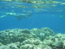 Подводный мир Марса-Алам