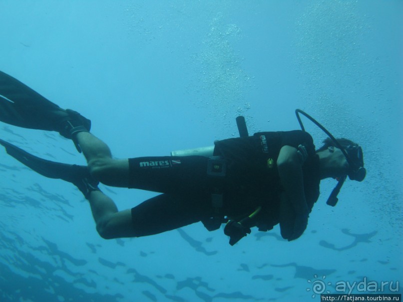 Подводный мир Марса-Алам