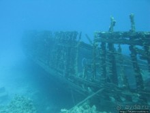 Подводный мир Марса-Алам