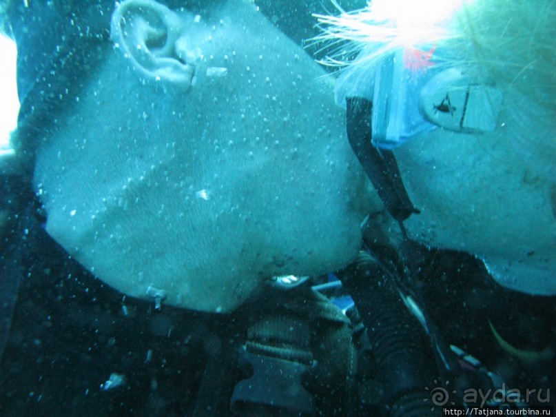 Альбом отзыва "Подводный мир Марса-Алам"