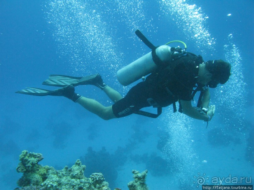 Подводный мир Марса-Алам