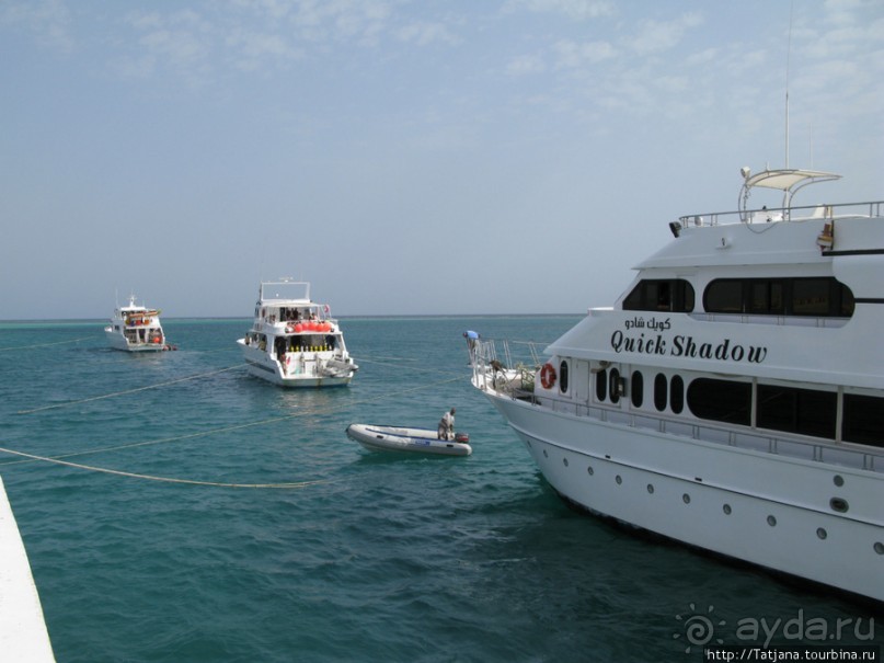 Подводный мир Марса-Алам