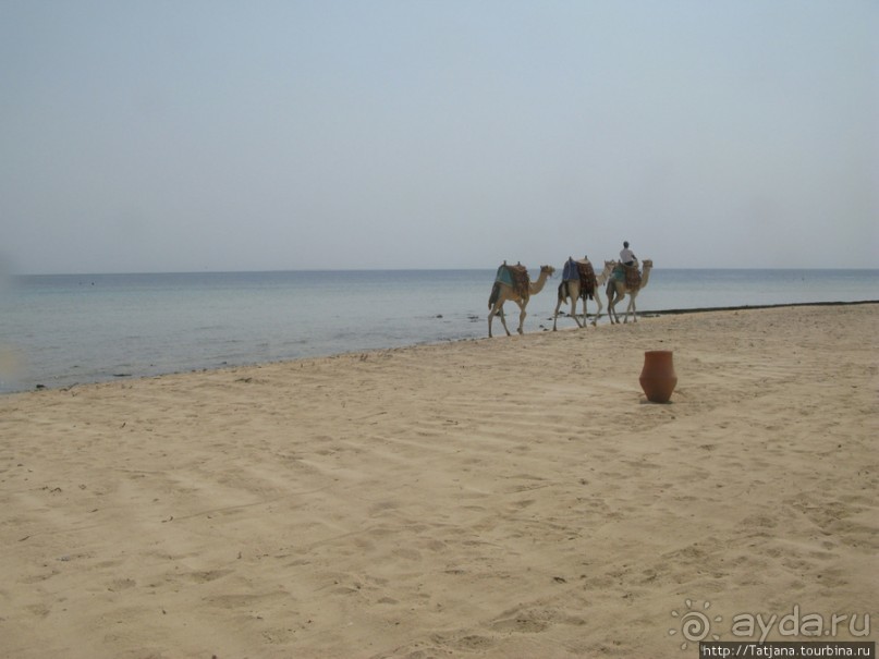 Подводный мир Марса-Алам