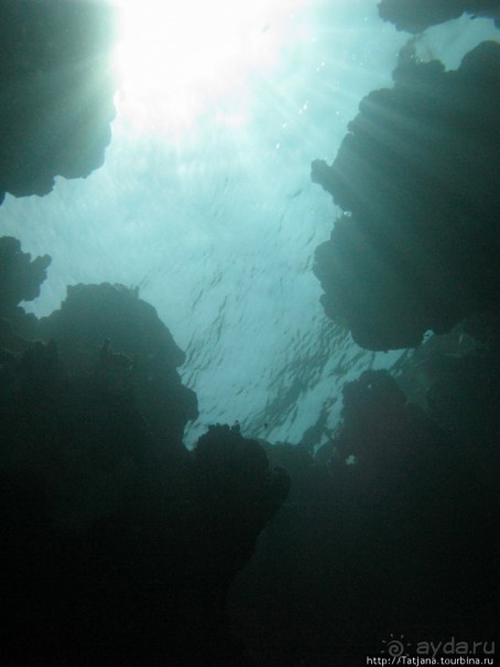 Подводный мир Марса-Алам