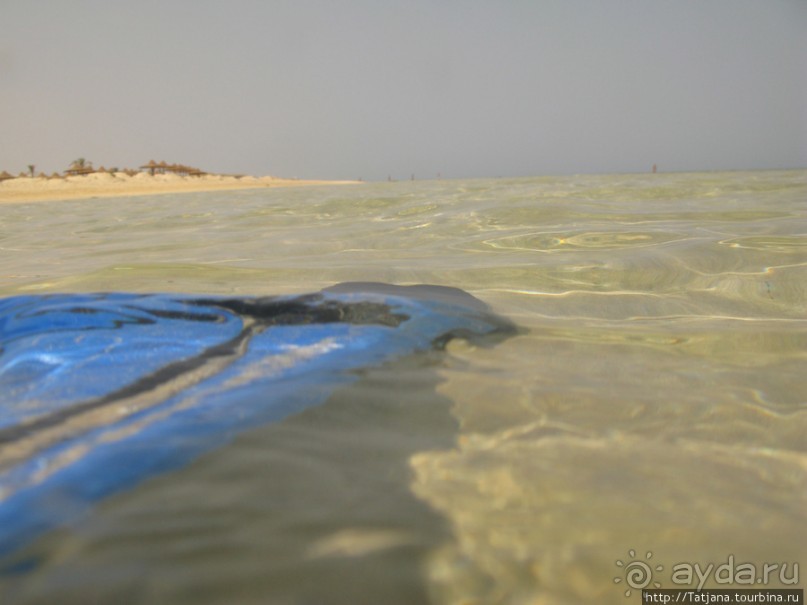 Подводный мир Марса-Алам