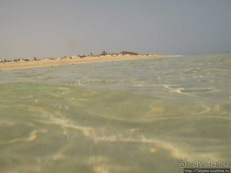 Подводный мир Марса-Алам