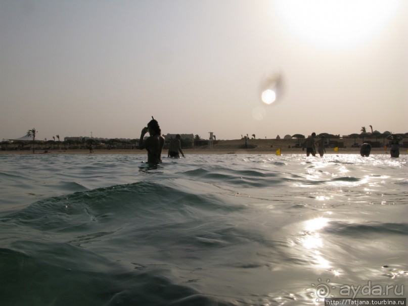 Подводный мир Марса-Алам