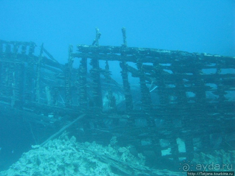 Подводный мир Марса-Алам