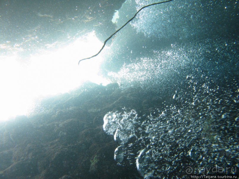 Подводный мир Марса-Алам